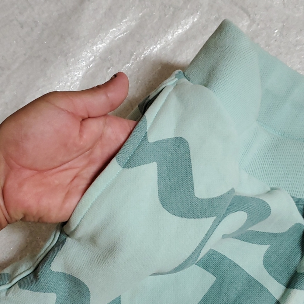 Champion Reverse Weave Script Green Sweat Shorts - Picture 8 of 10